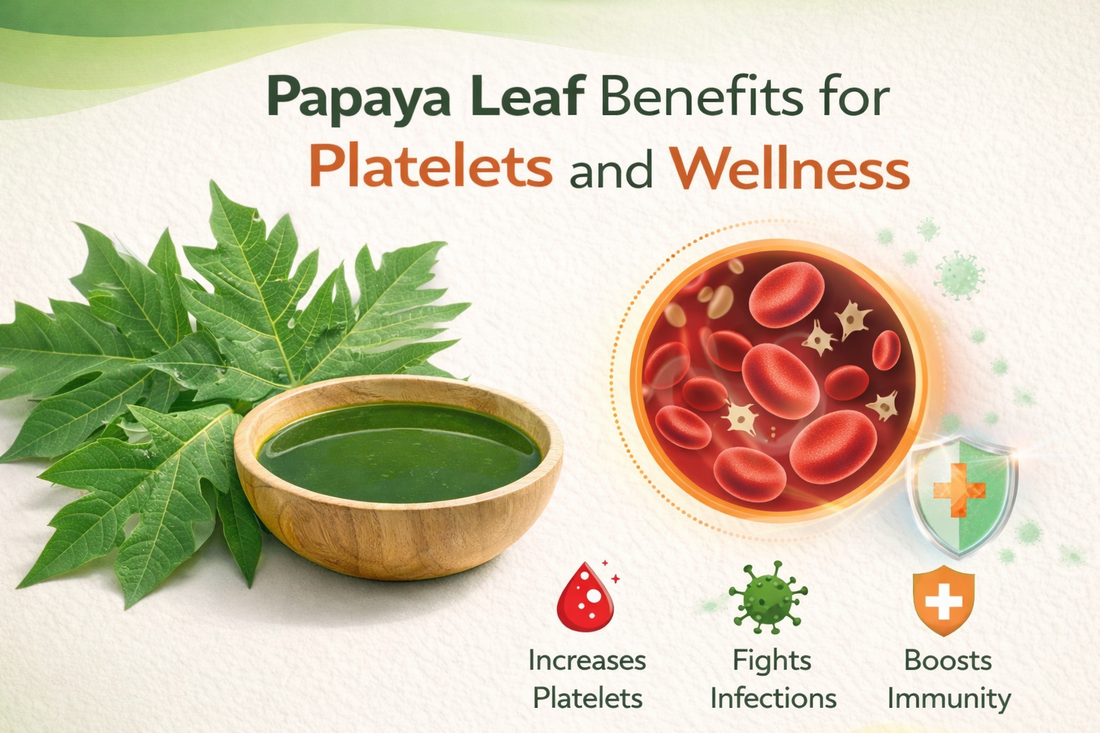 Papaya Leaf Benefits for Platelets and Wellness