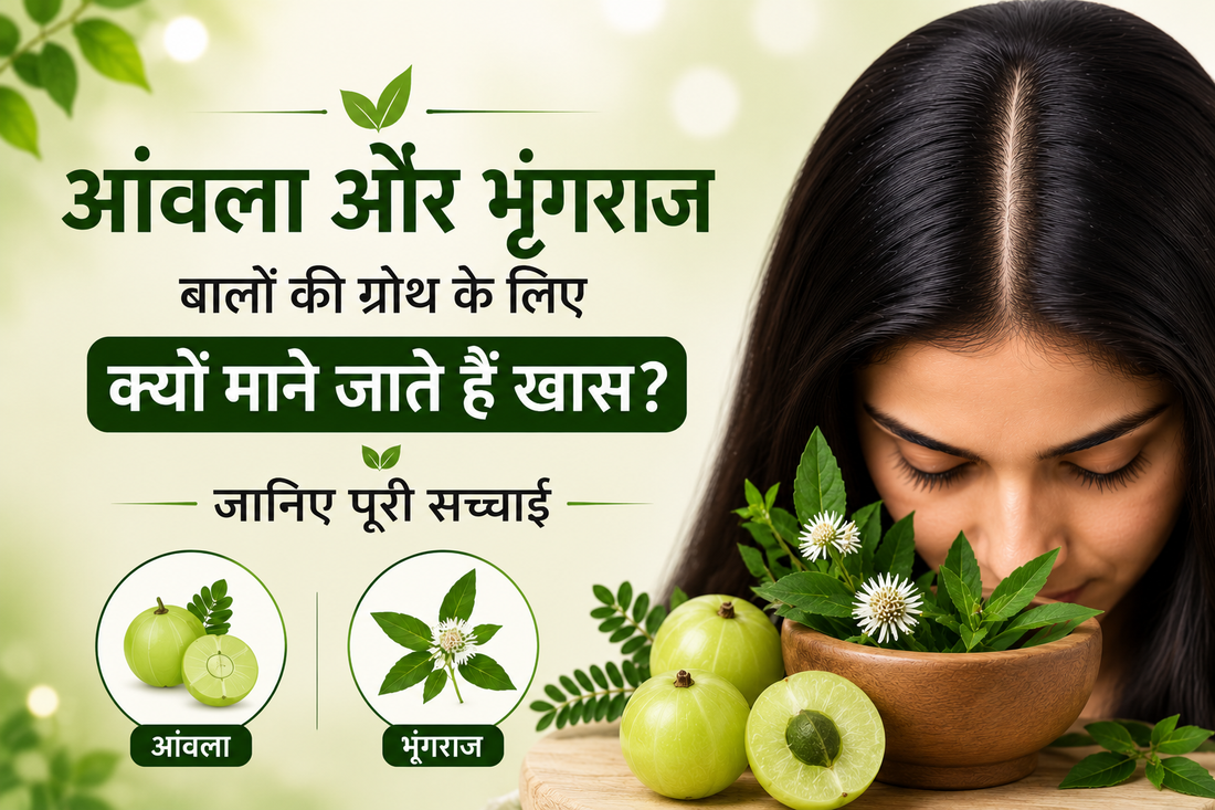 आंवला और भृंगराज बालों की ग्रोथ के लिए क्यों माने जाते हैं खास? जानिए पूरी सच्चाई