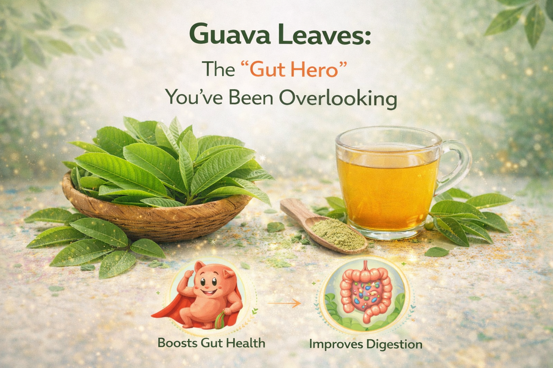 Guava Leaves: The "Gut Hero" You’ve Been Overlooking
