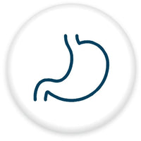 Digestive Care - Orgavia Herbals