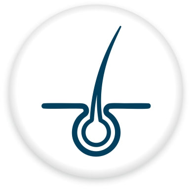 Hair care - Orgavia Herbals