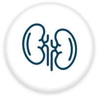 Kidney & Urinary Health - Orgavia Herbals