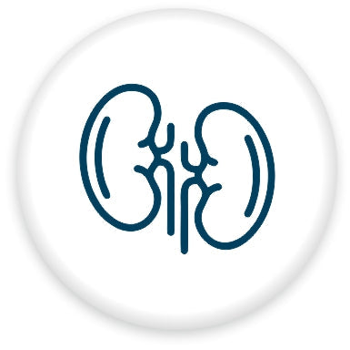 Kidney & Urinary Health - Orgavia Herbals