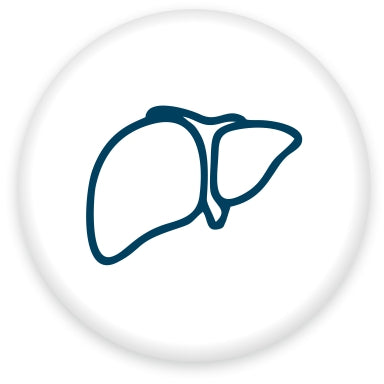 Liver Care - Orgavia Herbals