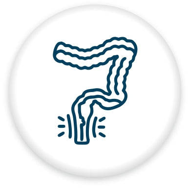 Piles Care - Orgavia Herbals