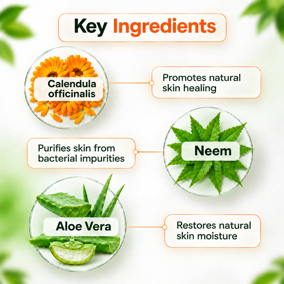 Calendula Plus Cream - 25gm