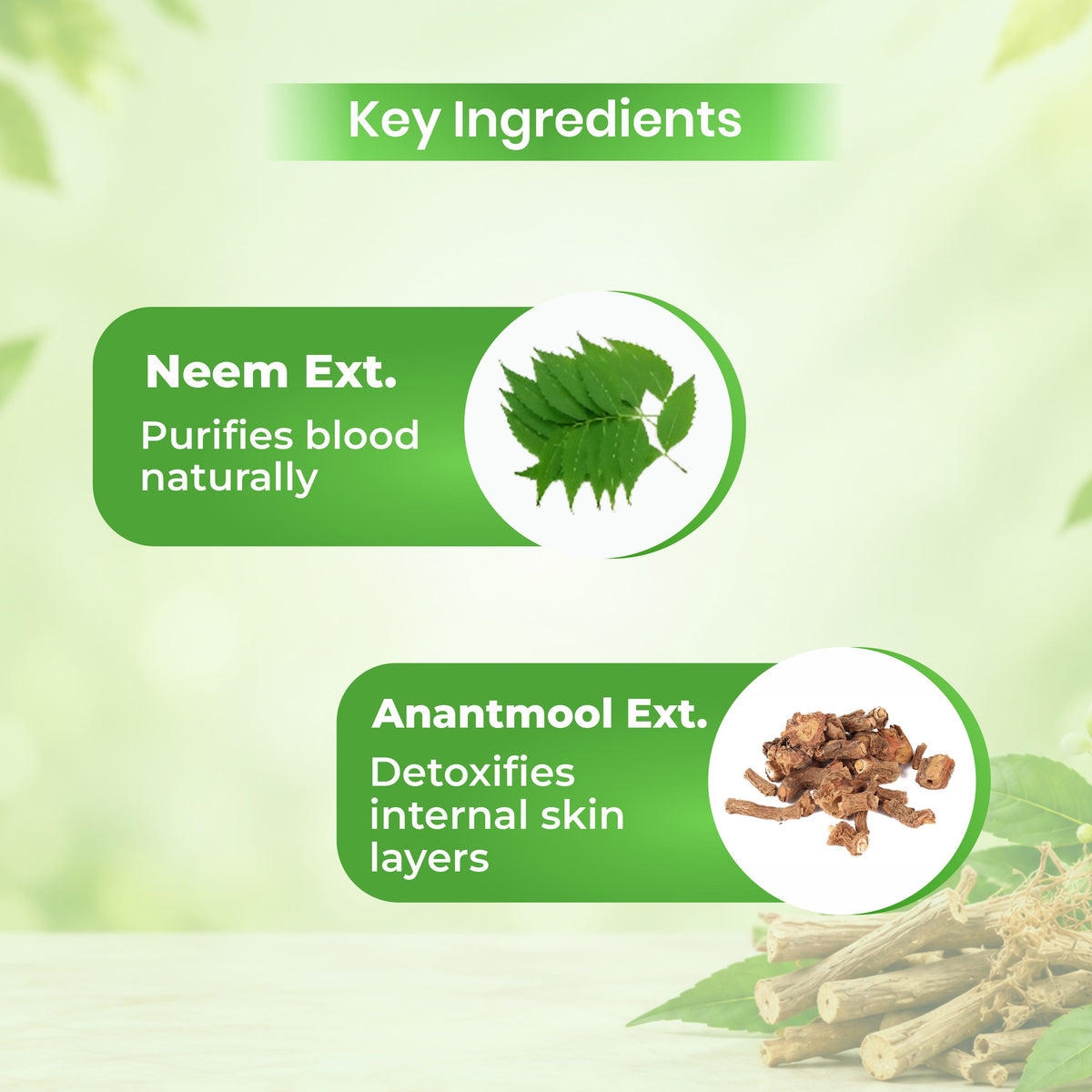 NEEM & ANANTMOOL TABLETS - 60 Tabs